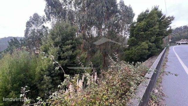 Terreno Rústico em Canedo com 1300m2. - Grande imagem: 3/5