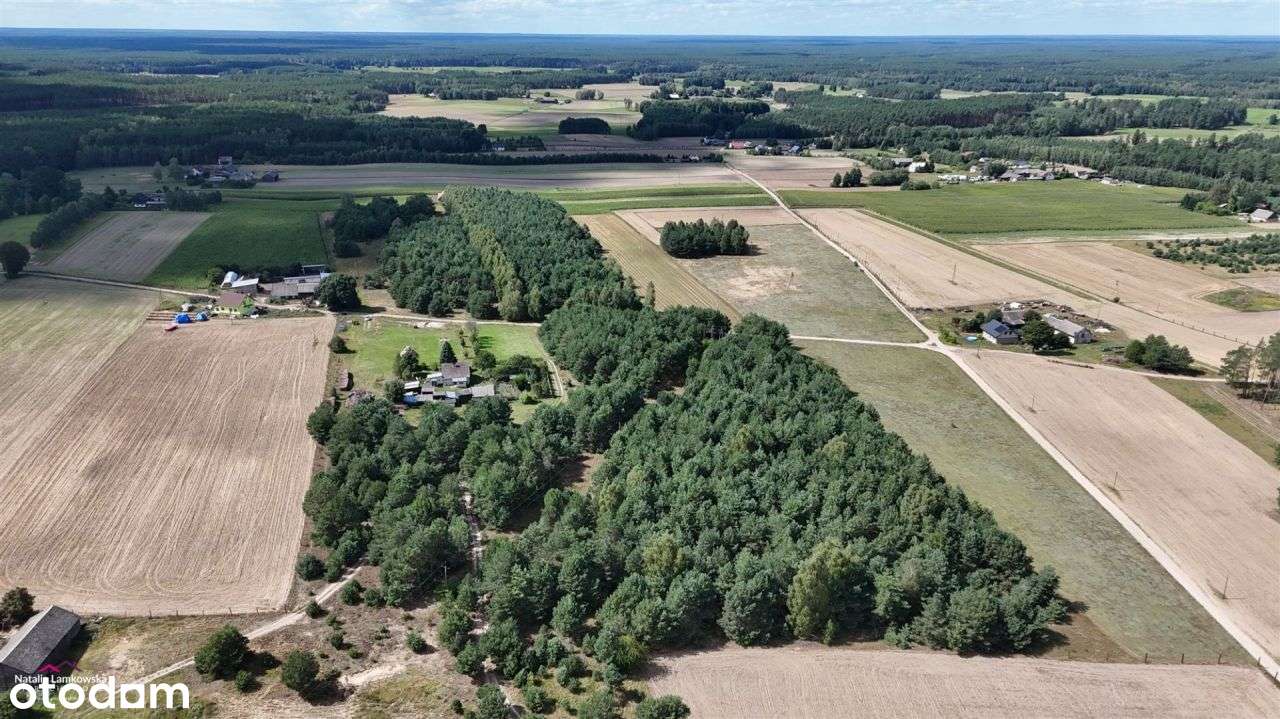Działki na sprzedaż, Lipinki, Gmina Warlubie - Pełny obrazek: 4/6