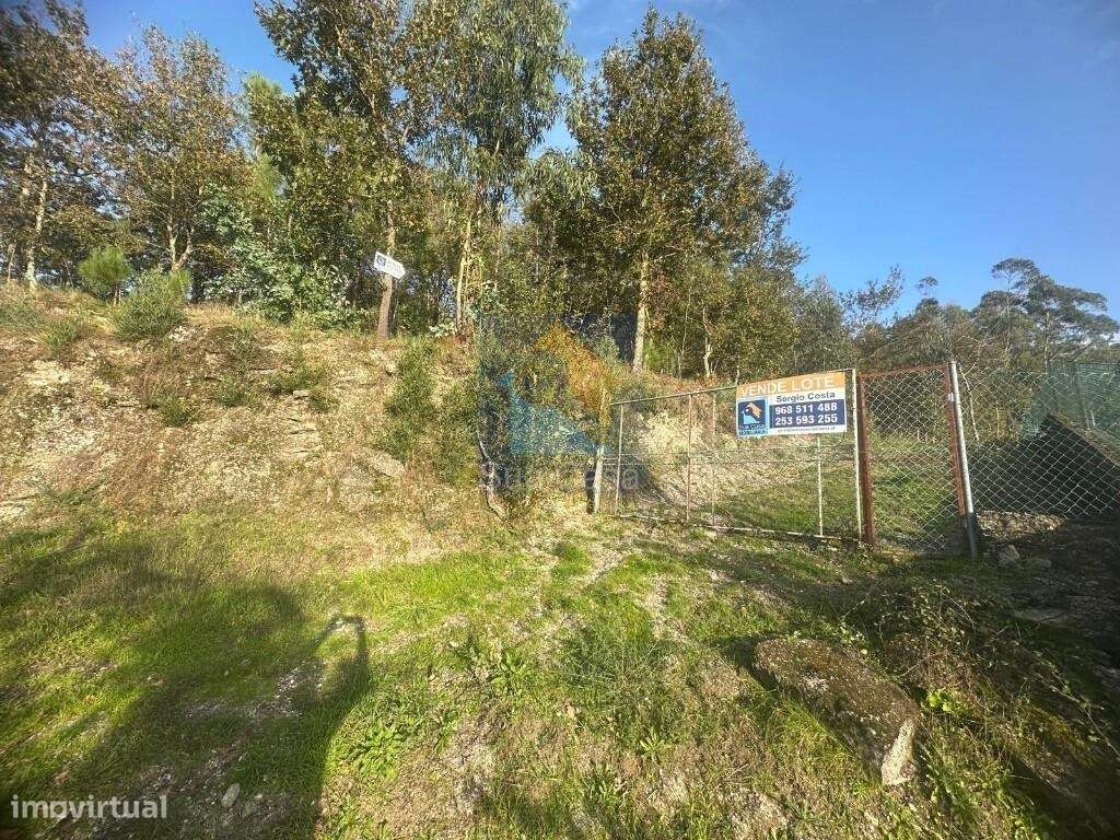 Terreno com viabilidade de construção - Grande imagem: 5/12