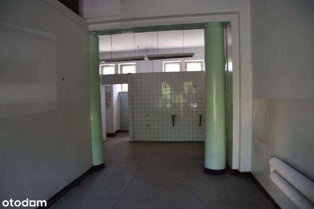 Mierzęcice- lokal do wynajęcia - Pełny obrazek: 4/6