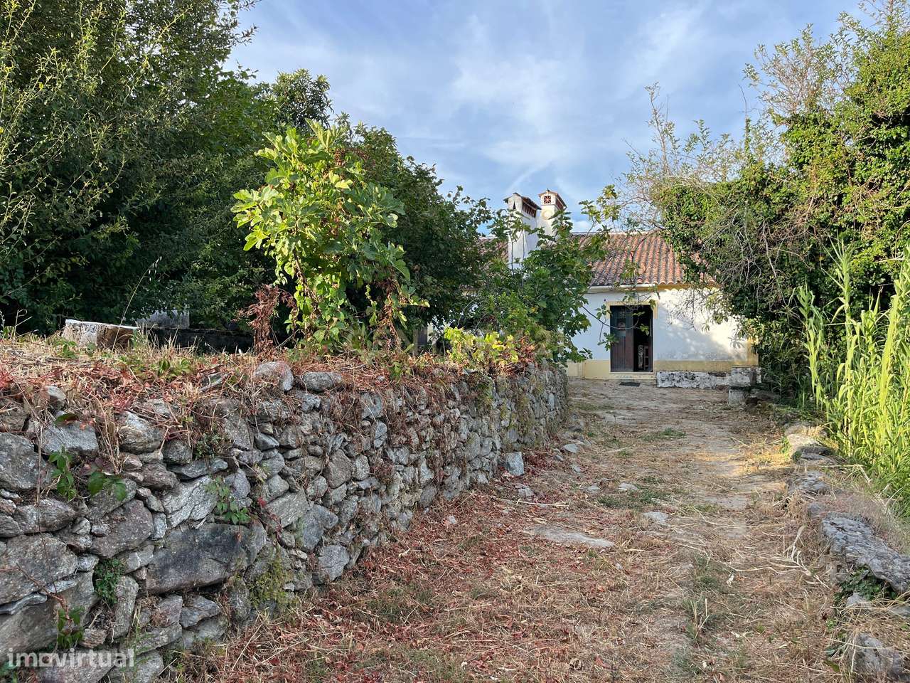 QUINTA T5 - REGUENGO - PORTALEGRE - Grande imagem: 4/53