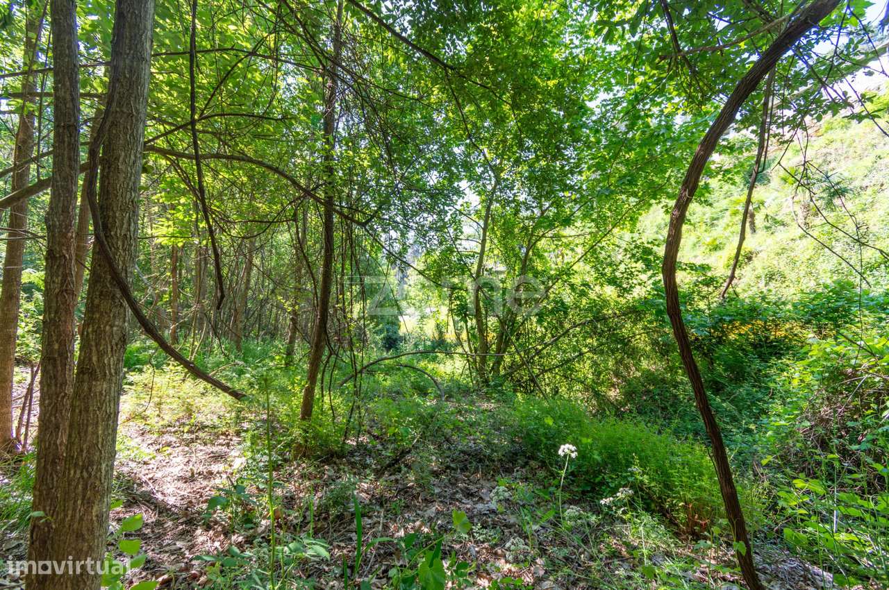 Terreno Rústico com Potencial Turístico - Grande imagem: 2/29