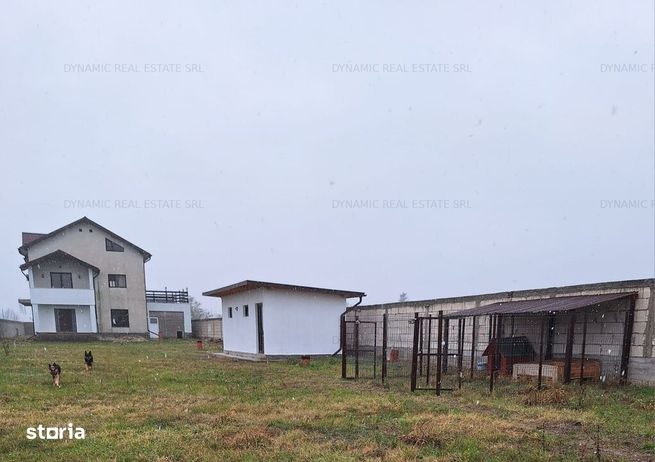 Vila D+P+1+M  - 4 dormitoare/4 bai - Garaj - 5000mp - 2 cai de acces-12