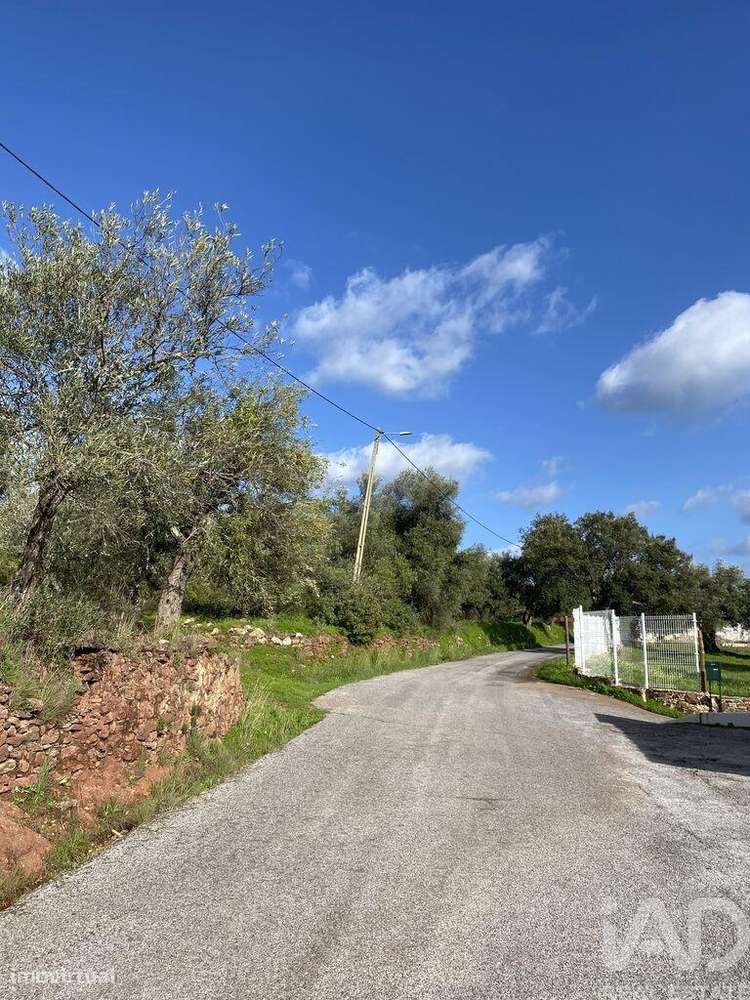 Loja / Estabelecimento Comercial em São Brás de Alportel de 80,00 m2 - Grande imagem: 5/30