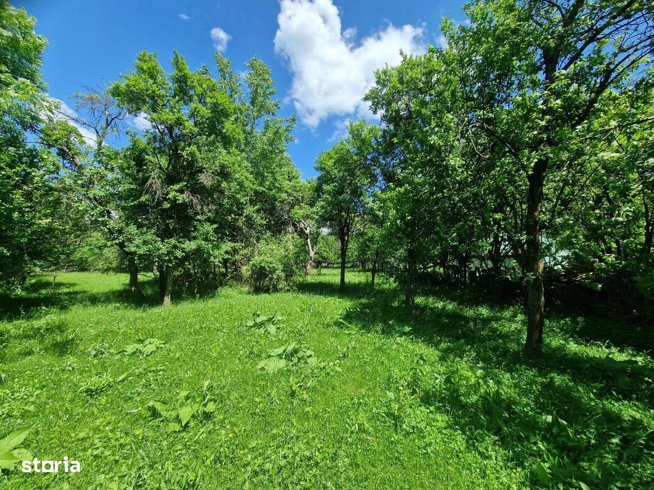 Teren intravilan Comarnic cartier Podul lung langa padure-10