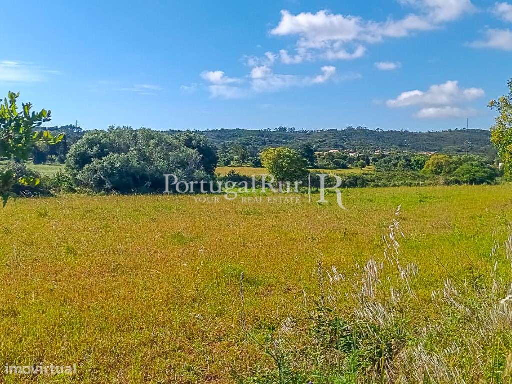 Terreno Rústico com 1.250 m², a 5 minutos das Praias - Algarve Cost... - Grande imagem: 2/5