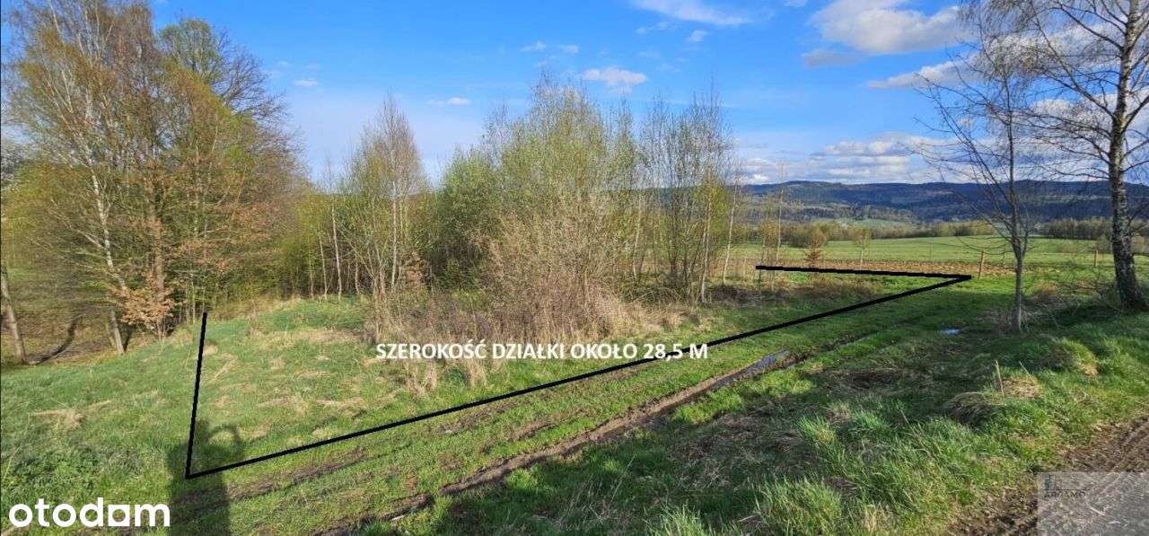 Na skraju wsi z widokiem na Pilsko :) - Pełny obrazek: 2/8