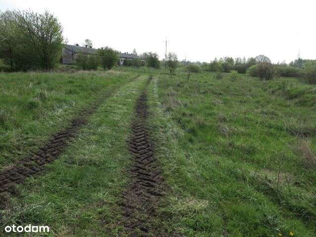 Działka, 97 900 m², Gwieździn - Pełny obrazek: 5/20