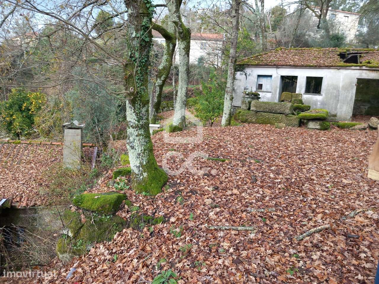 Quinta à venda em Rossas, Vieira do Minho-7