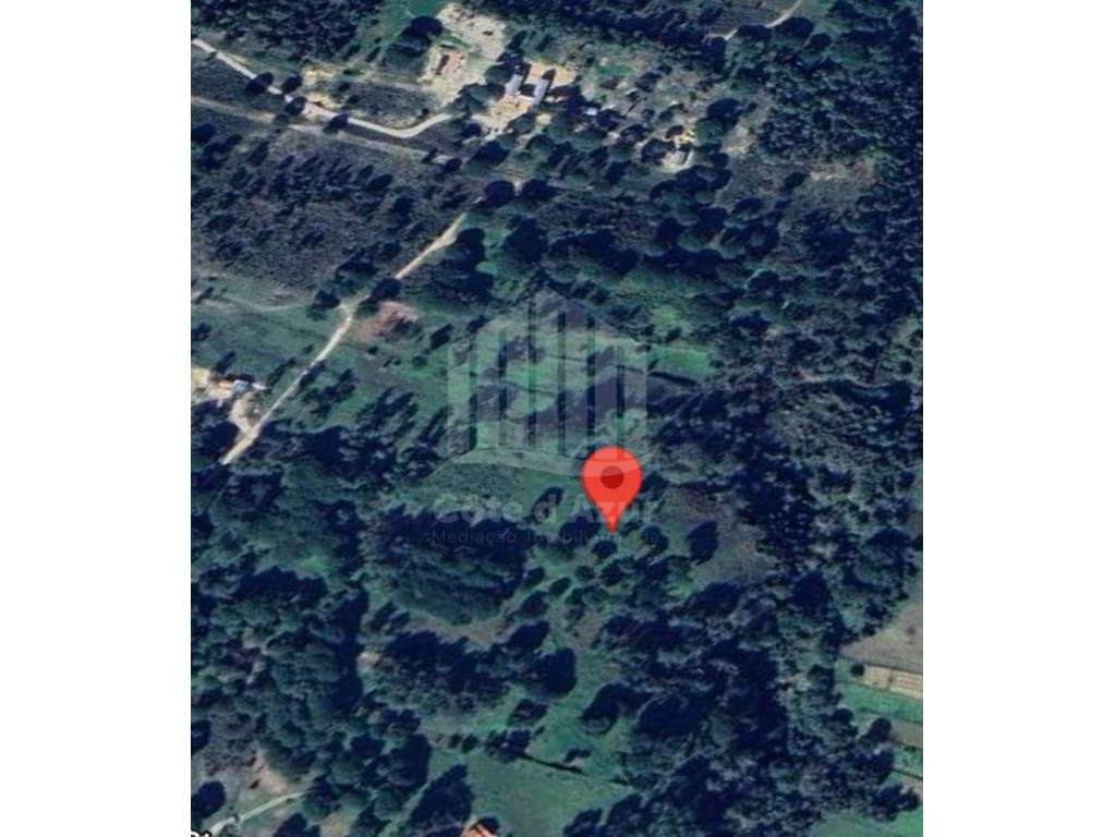 Propriedade rústica em Carvalhais, Fornos, Sesimbra - Grande imagem: 4/17