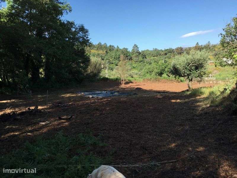 terreno rústico com dois riachos - Grande imagem: 4/6