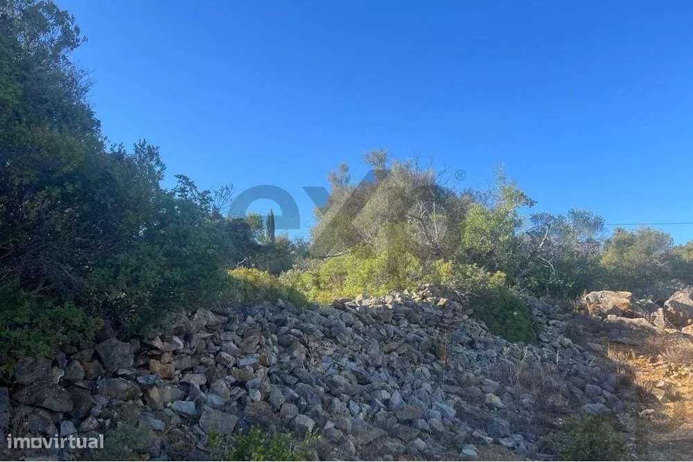 Terreno rústico de 11200m2 em Moncarapacho, Algarve-3