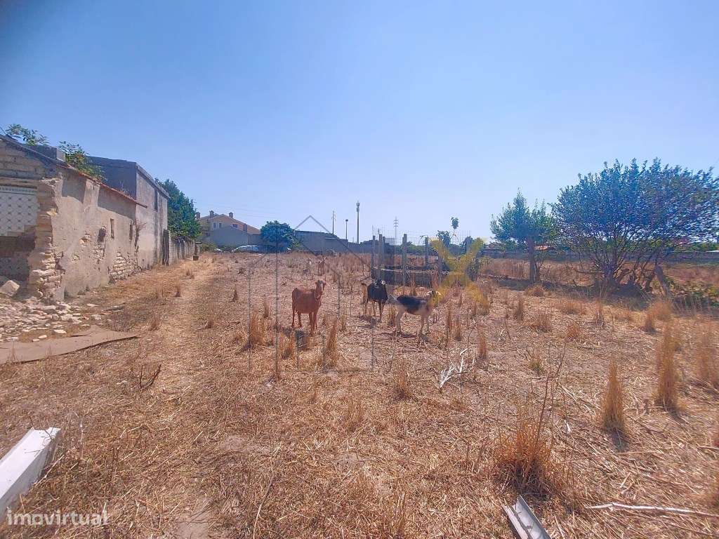 Terreno rústico com viabilidade para urbano em Cacia!!! - Grande imagem: 3/7