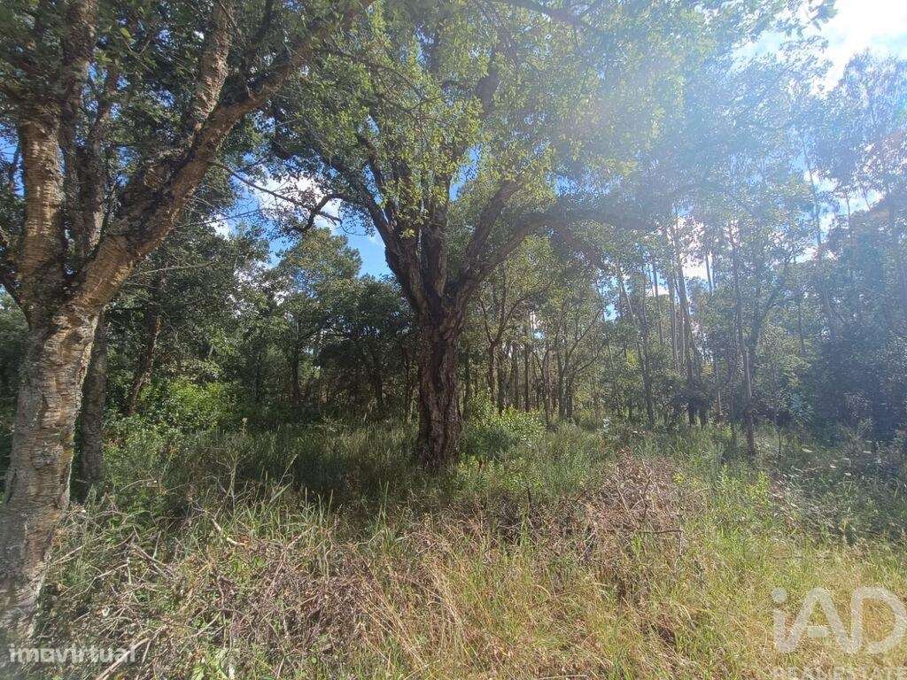 Terreno em Aljubarrota de 2112,00 m2 - Grande imagem: 5/27