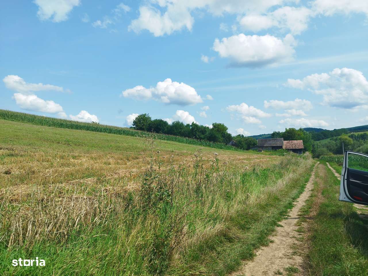 Teren 9700 mp comuna CĂTINA -CLUJ-4