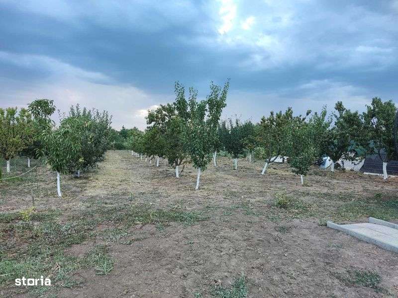 Casa de vanzare Silistraru jud. Braila - Imagine principală: 5/6