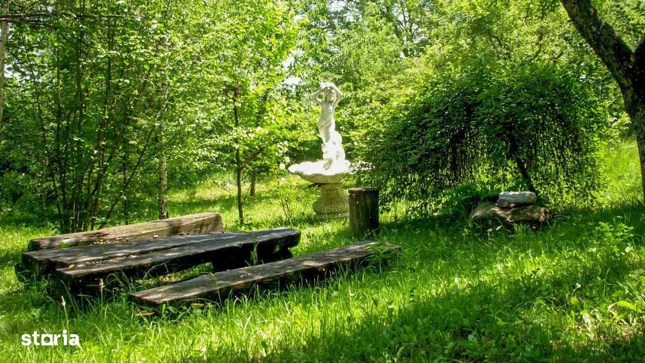 Domeniu exclusivist cu izvor propriu – Cheile Turzii / Munții Apuseni - Imagine principală: 5/11