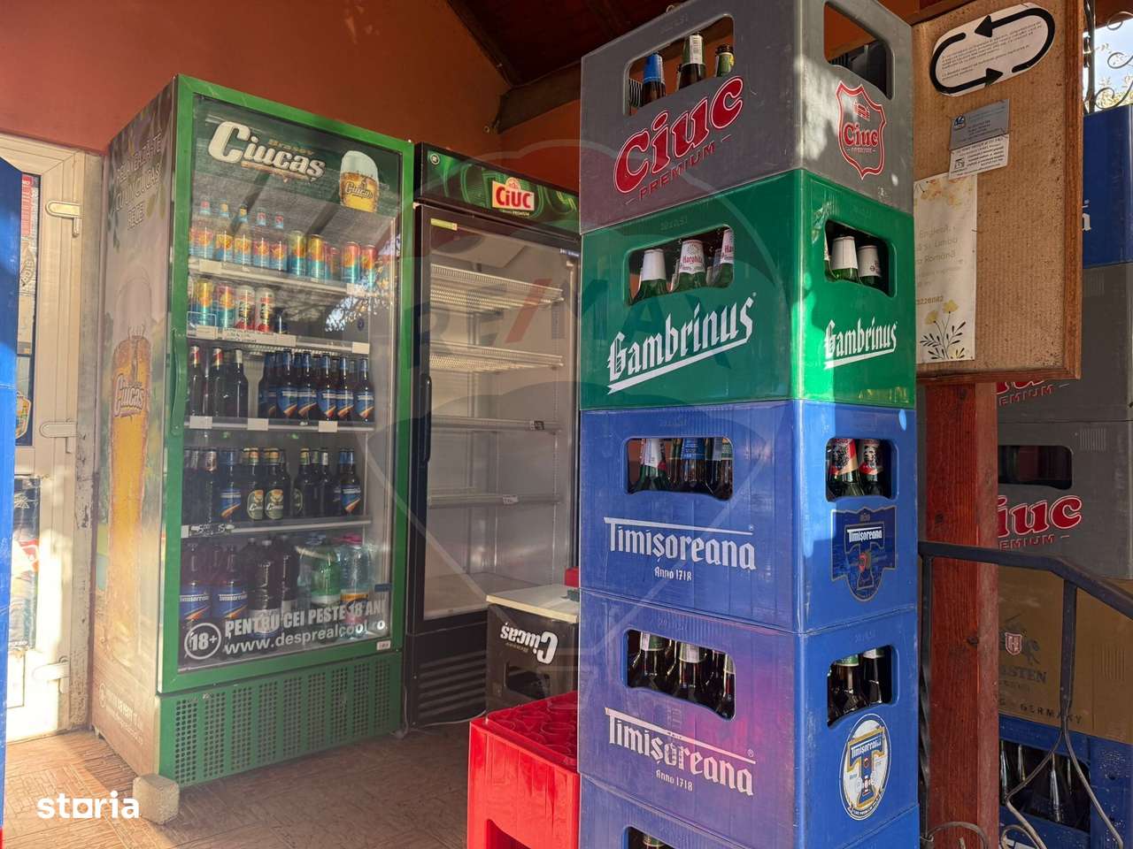 Spațiu comercial cu potențial extraordinar-10