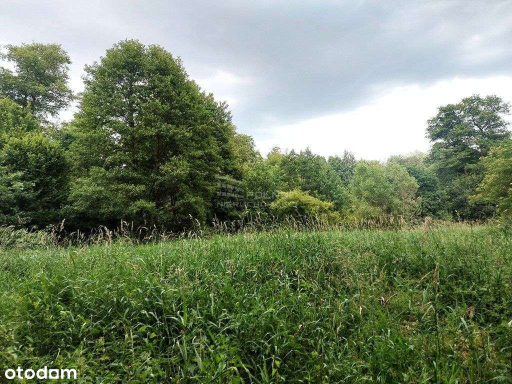 Działka 1200m2 w Milanówku - Pełny obrazek: 4/5