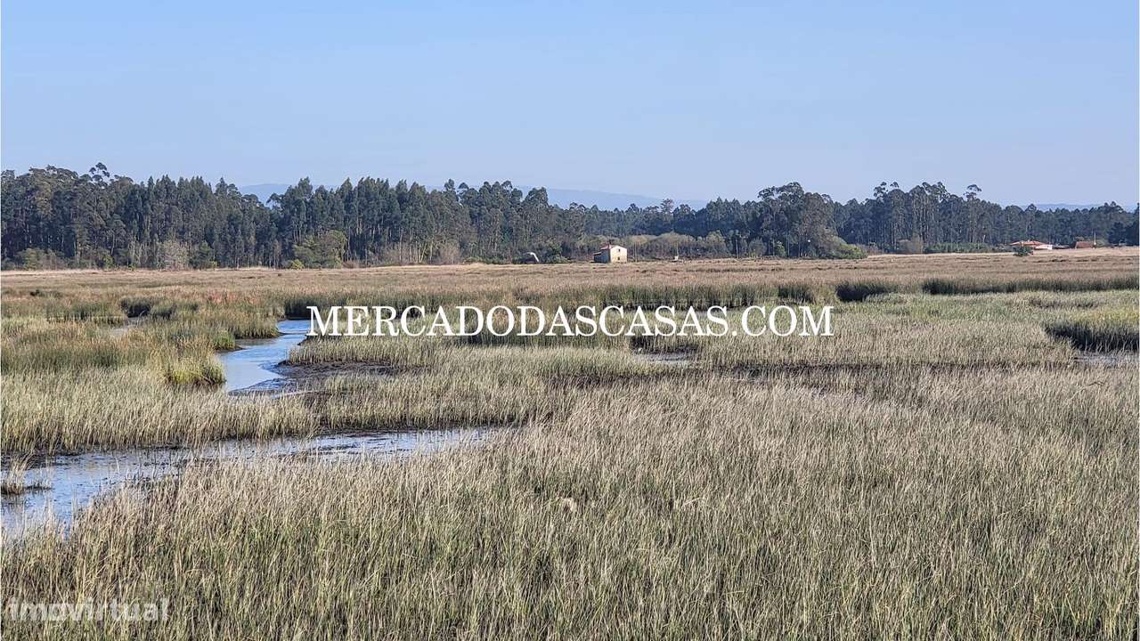 Quinta em Válega - Grande imagem: 5/41