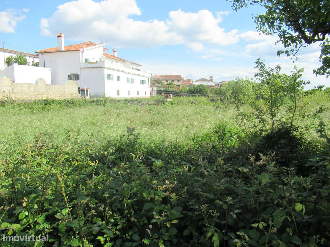 Terreno Rústico | Escalos de Baixo, Castelo Branco - Grande imagem: 4/10
