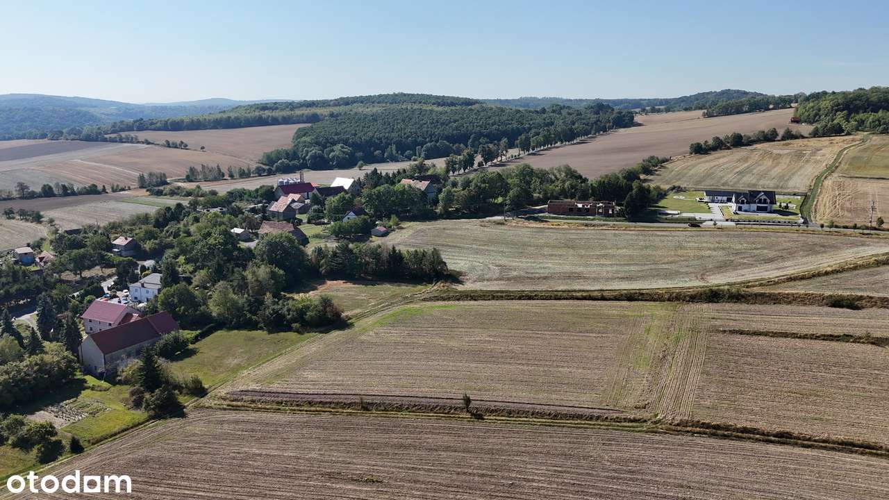 Działka, 8 342 m², Chełmiec-5