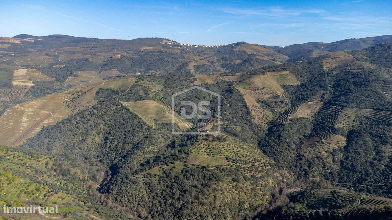 Recanto Encantado, Távora - Tabuaço-22