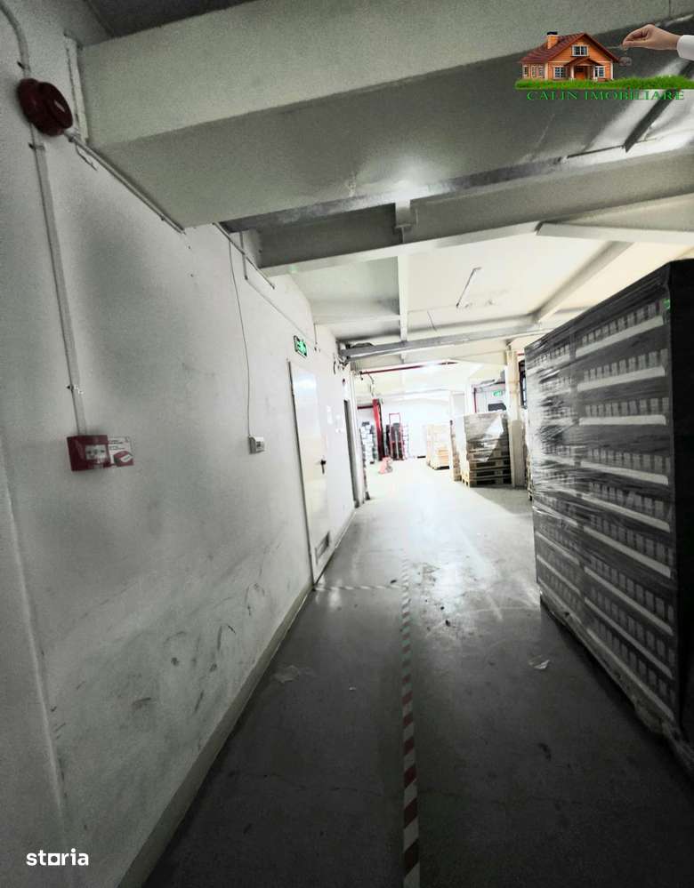 Hală depozitare, productie, distribuție 350 mp Pacurari - Imagine principală: 3/10