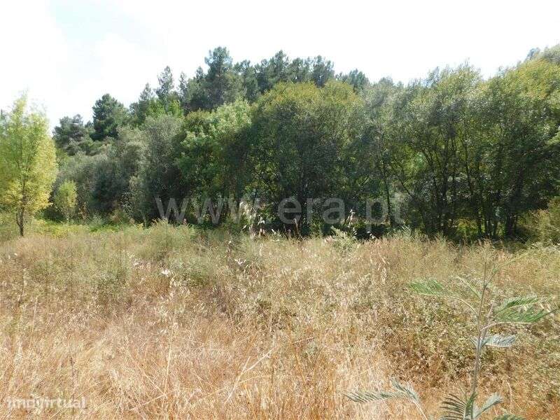 Terreno / Fundão, Quintãs - Grande imagem: 1/11