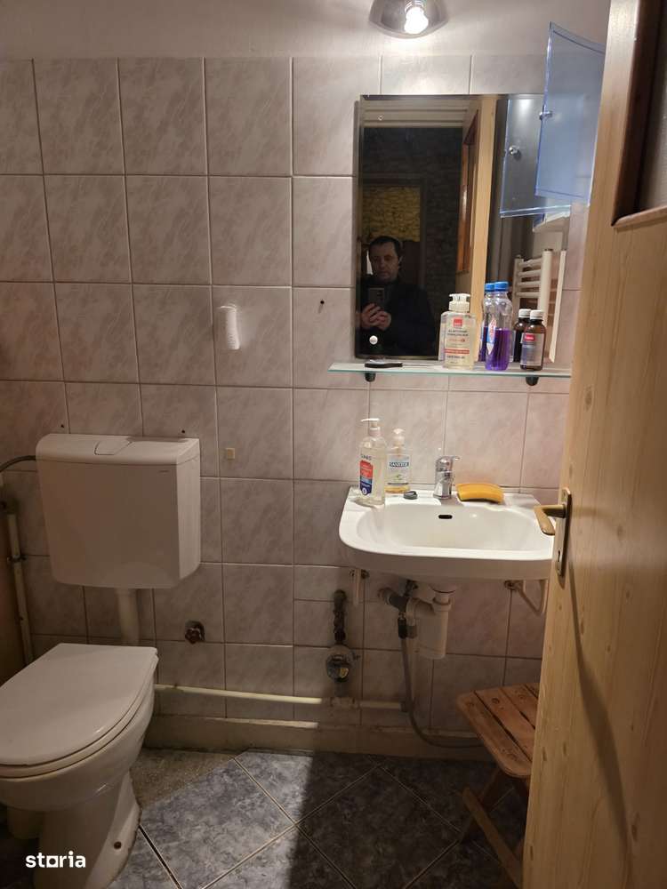 Titan, chiar la intrare in Parcul IOR, Lunca Bradului, la Scoala 195, - Imagine principală: 3/15