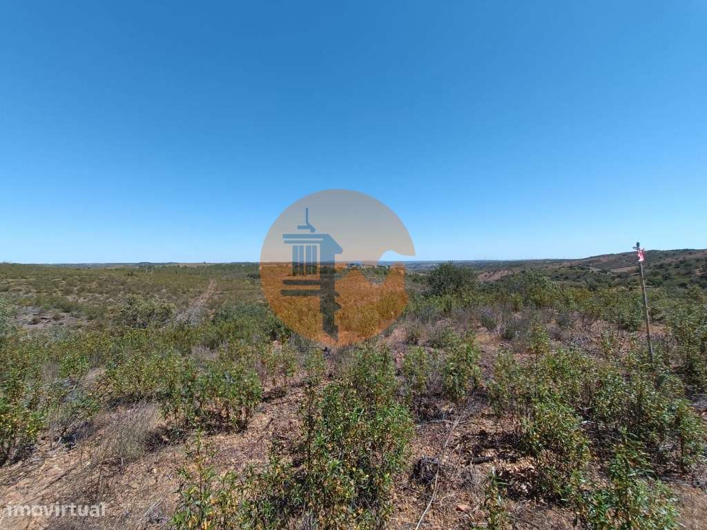 TERRENO COM 34.700 M2 - POSSIBILIDADES DE CONSTRUIR UM ARMAZEM - PR...-39