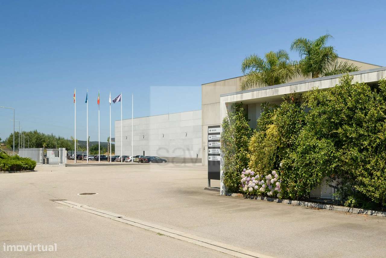 Armazém para arrendamento,  Arcos, VCD - Grande imagem: 5/20