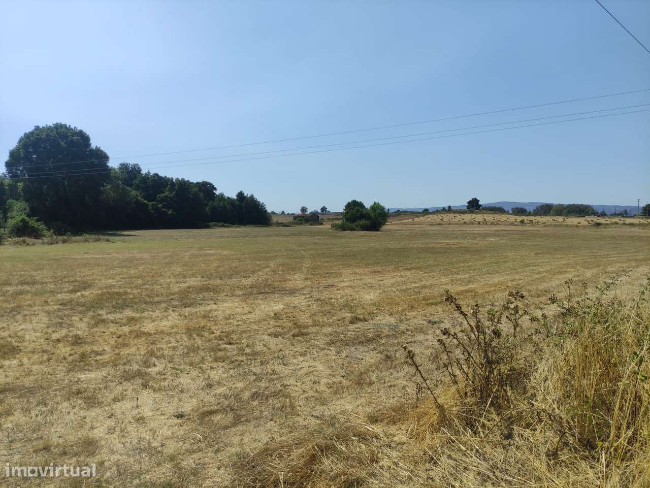 Quinta  Venda em Melo e Nabais,Gouveia - Grande imagem: 4/5