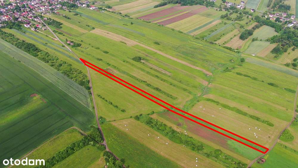 Działka rolna Poręba-Niwki-11