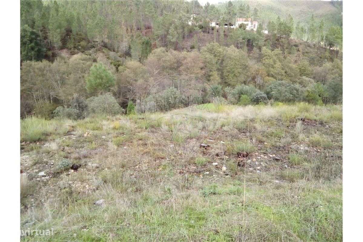 Quinta T0 para venda - Grande imagem: 4/9