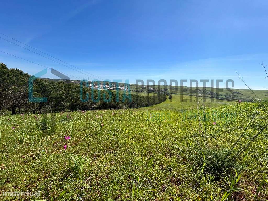 Terreno Rustico na Encantadora Aldeia Raposeira - Grande imagem: 2/18