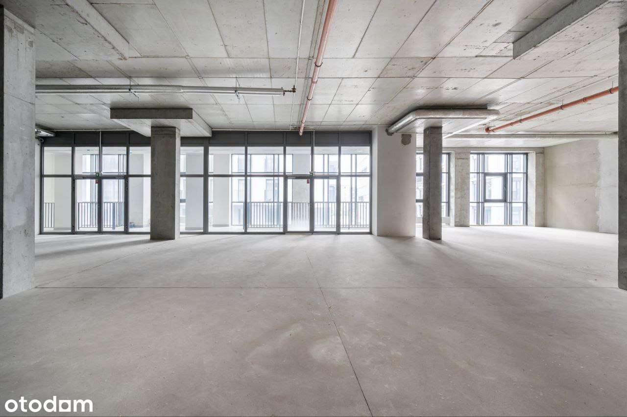 265m absolutnego premium w Illumino - Pełny obrazek: 4/9