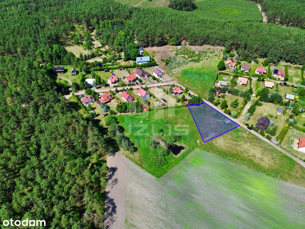 Działka 980 m² w Ocyplu – las, cisza, MPZP, prąd - Pełny obrazek: 4/14