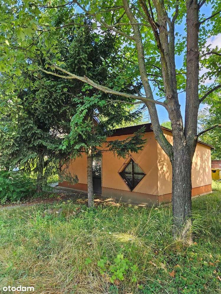 Budynek usługowo handlowy ul. Dąbrowskiego, Borek-3