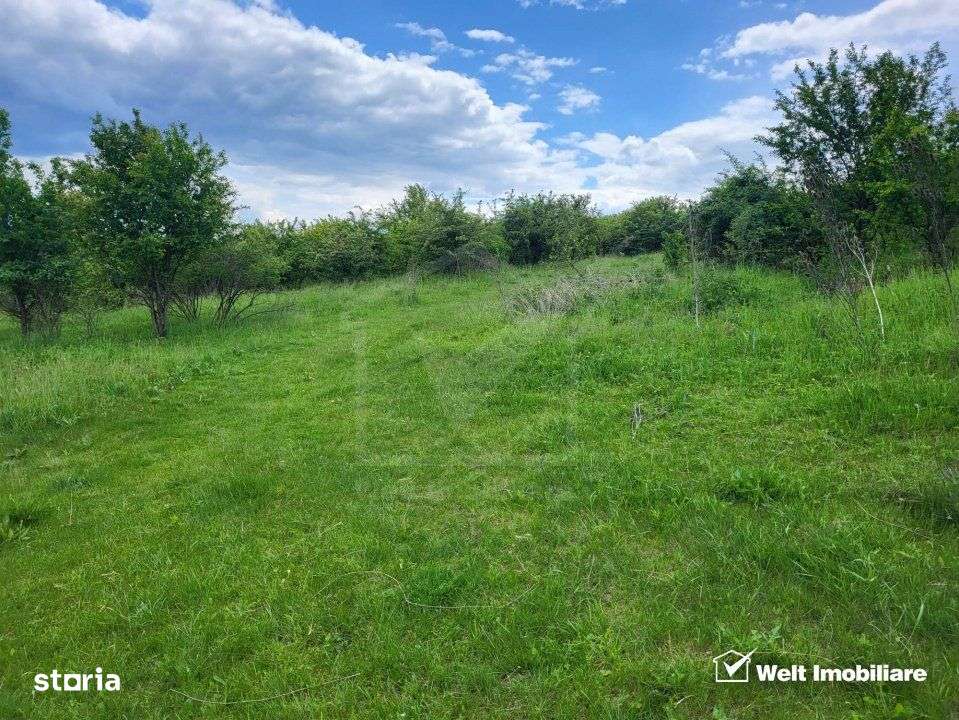 Teren in zona Someseni - Imagine principală: 2/5