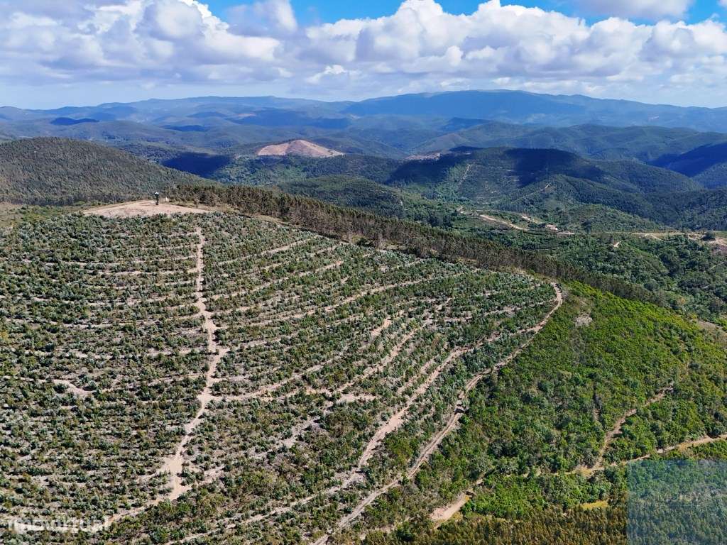 Terreno em São Teotónio, Odemira-11