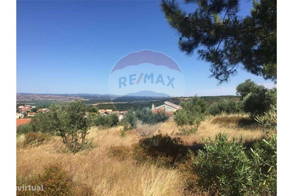 Terreno T0 para venda - Grande imagem: 5/10