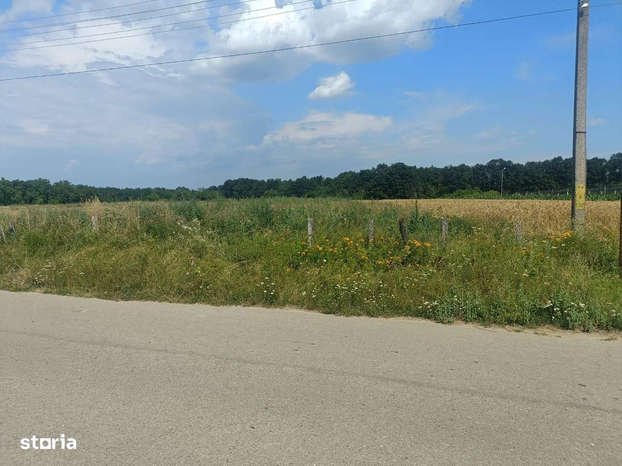 Teren intravilan, 4134 mp,  Dănești-2