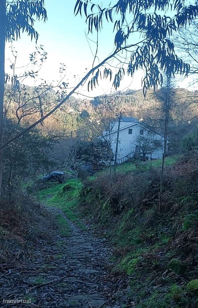 Terreno - Caldelas - Grande imagem: 3/11