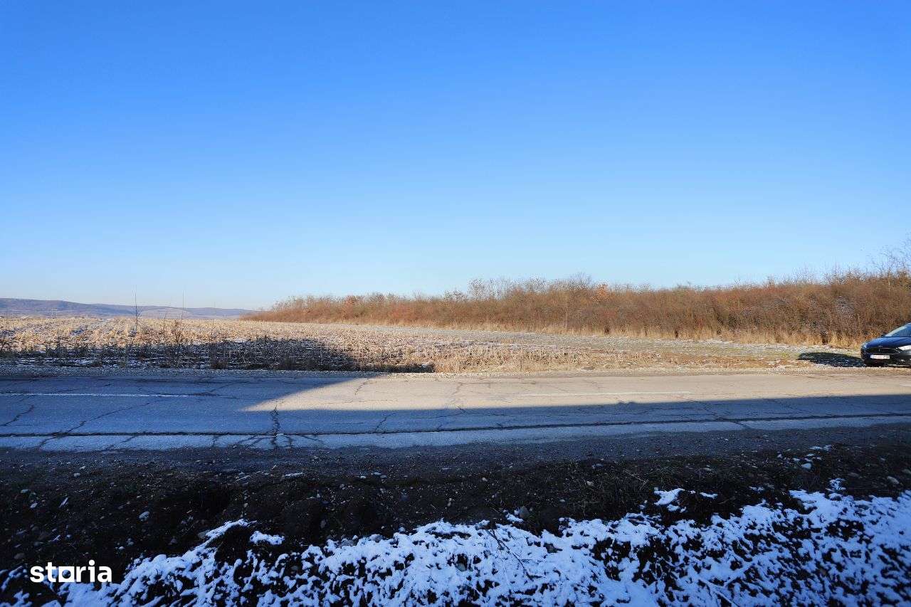 Teren de vânzare în Alparea - 6942mp parcelabil - Imagine principală: 4/4