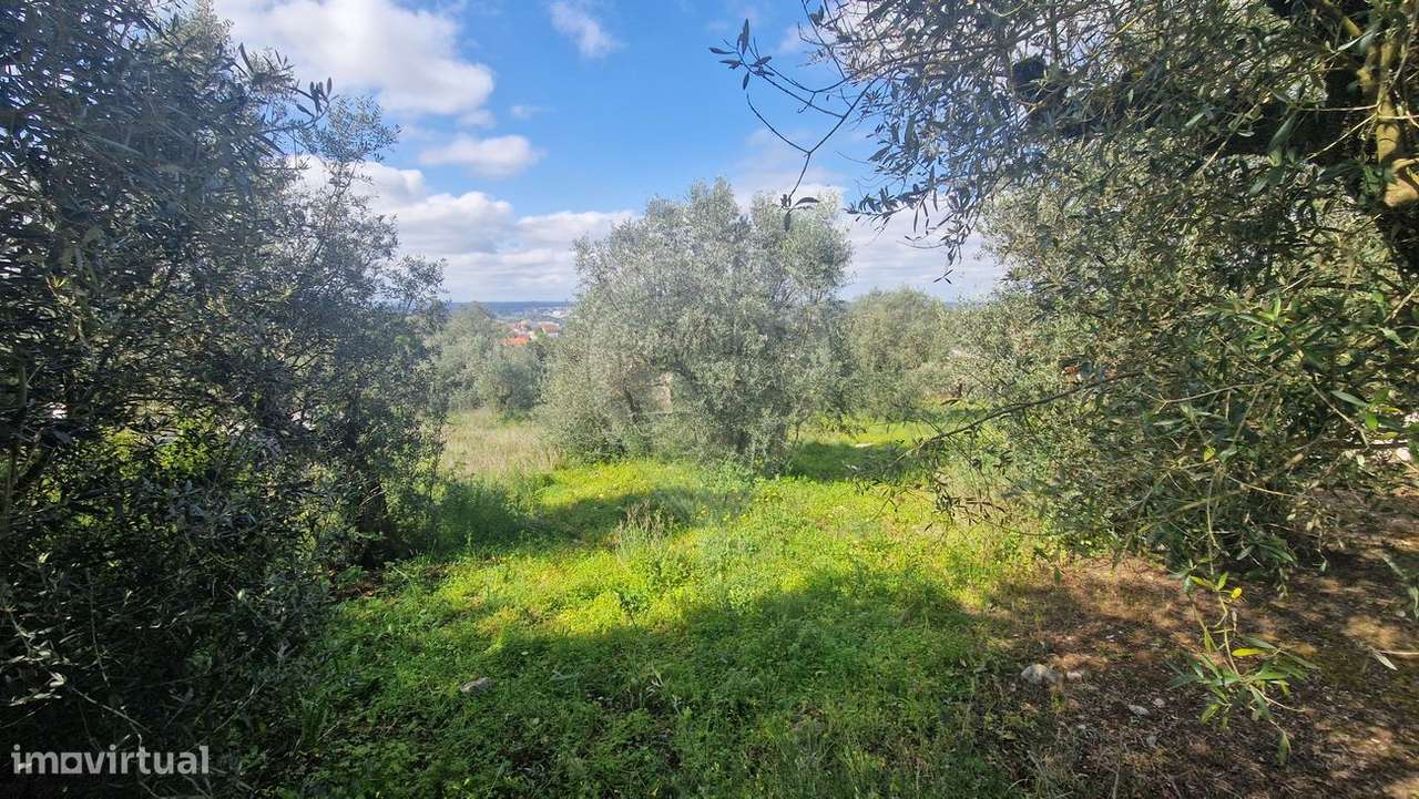 Terreno  para venda - Grande imagem: 3/9