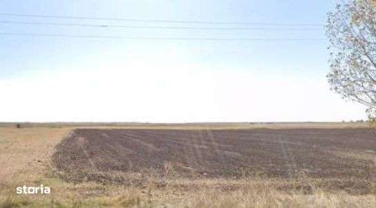 Teren extravilan cota parte 3/16 Amaru, ID: R2764932 - Imagine principală: 5/7