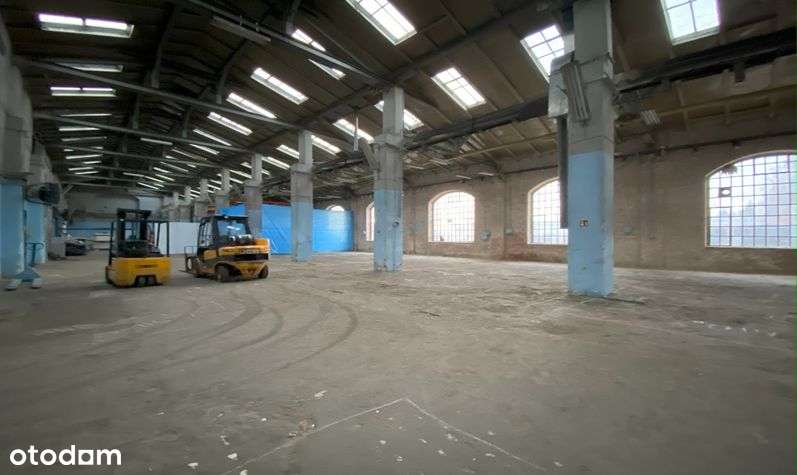 Hala Magazynowo Produkcyjna z Biurami i Zapleczem - Pełny obrazek: 4/4