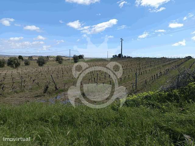 Terreno Urbano - Grande imagem: 4/13