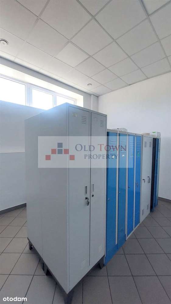 Hala produkcyjno-magazynowa 1100 m2 Świdnik - Pełny obrazek: 5/11